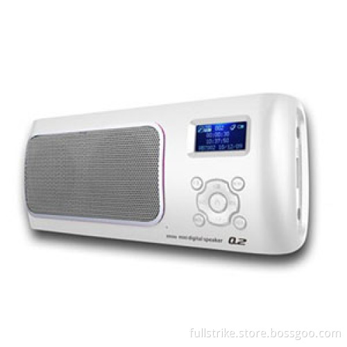 Multifunction LCD Screen USB Mini Speaker FM Radio Clock Alarm SD Card Reader, Record, Repeat, Lyrics Synchronization